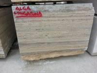 Silver Alga